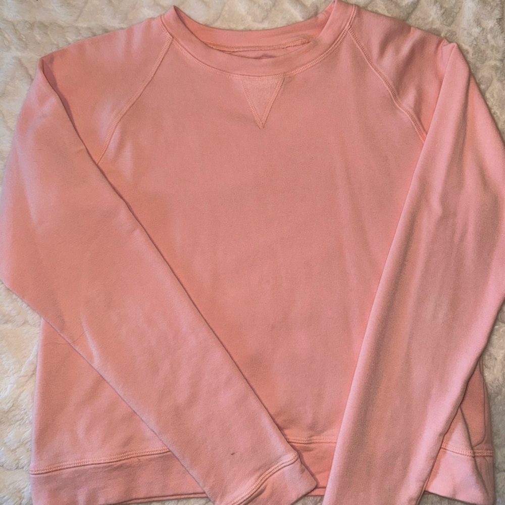 Albion Strawberry Neo Crop